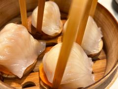 招牌虾饺皇-金鼎轩(亚运村店)