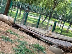 -秦皇岛野生动物园
