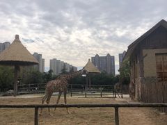 -南昌动物园
