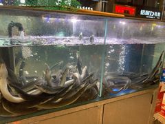 -本炙炭烤·蒲烧活鳗料理店(金沙洲店)