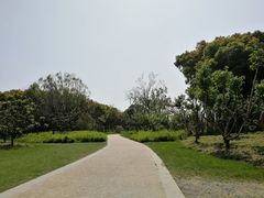 -昆山城市生态森林公园