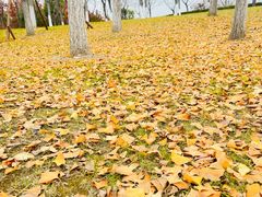 -狼山风景名胜区