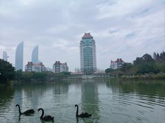 -厦门大学(思明校区)