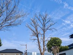 -东梓关景区村庄