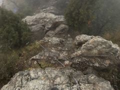 -午潮山国家森林公园