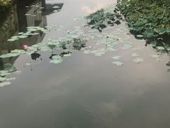 -上海怡沁园度假酒店