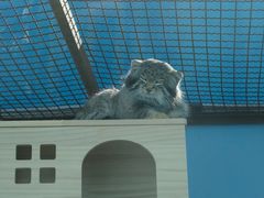 -青藏高原野生动物园