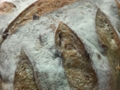 -Juicy Bakery(大学路店)