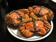 -黄记大闸蟹专卖店·活蟹·醉蟹