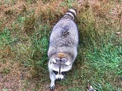 -秦皇岛野生动物园