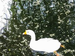 -三里河公园