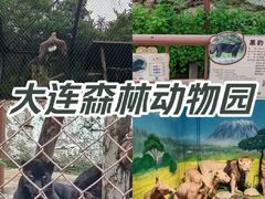 -大连森林动物园