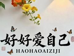 -西苑公园