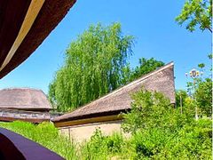 -白洋淀风景区