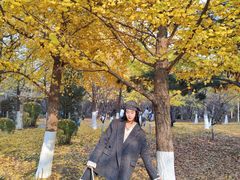 -长白岛森林公园