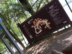 -石燕湖生态旅游景区