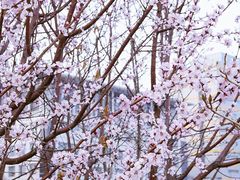 景点-元大都城垣遗址公园