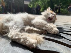 -晋阳饭庄(虎坊桥店)