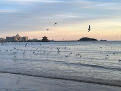 -青岛第二海水浴场