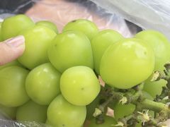 -尚客优悦酒店(成都龙泉驿都中路航天城店)