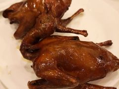 -琬苑鸽庄·川粤融合菜(解放碑总店)