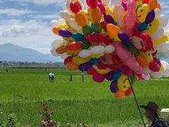 -锦府园·杭州小馆·创意杭帮菜(湖滨银泰in77店)