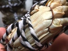 -七的湖·晚芳亭·阳澄湖农家菜·大闸蟹(莲花岛店)