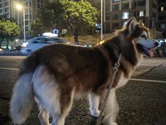 -拜鲁耶动物诊疗中心·宠家动物医院