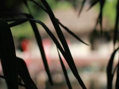 -茂德公草堂