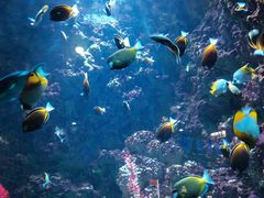 -海合安青岛极地海洋公园