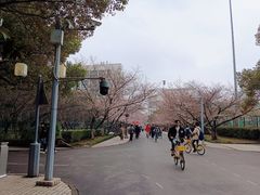 -同济大学(地铁站)