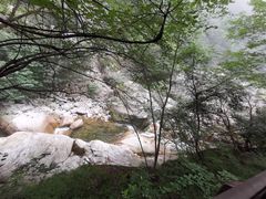 -陕西省红河谷森林公园