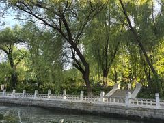 -皇家御河游(紫御湾码头)