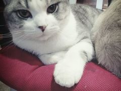 -MIKAKU(万达广场上海宝山店)