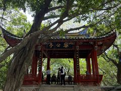 -乌山风景区