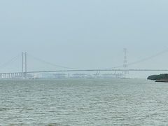 -海鸥岛