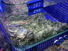 -青蓬蒸汽海鲜·深圳老字号·团建聚会(壹方城店)