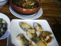 -电白食府(园岭三街店)