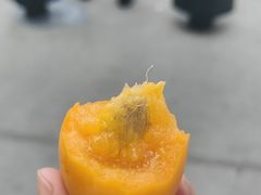 -油麻地果栏