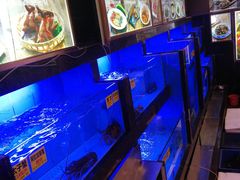 水产区-老洋坊饭店(厚街东宝路店)