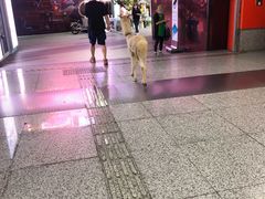 -真北路(地铁站)