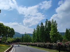 -习家池