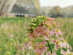 -中国天府农业博览园