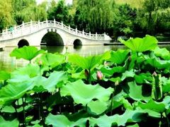 -莲湖公园