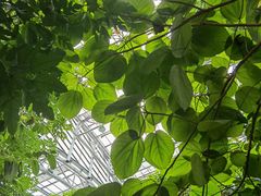 -南山植物园