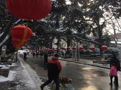 -贮水山儿童公园