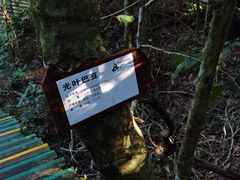 -海南霸王岭国家森林公园