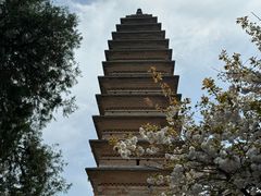 -洛阳白马寺