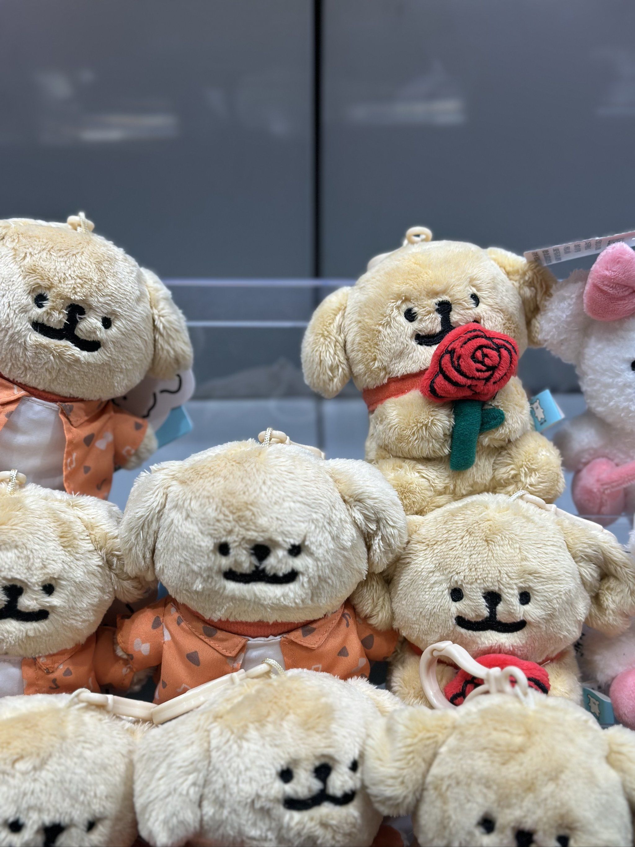 萌萌哒小熊抱抱