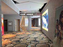 -星河寰宇IMAX影城(星河WORLD·COCO Park店)